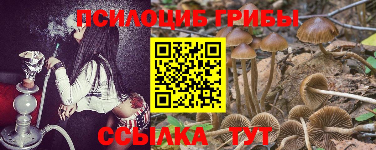 Галлюциногенные грибы ЛСД  купить закладку  Моздок  Вход с VPN 