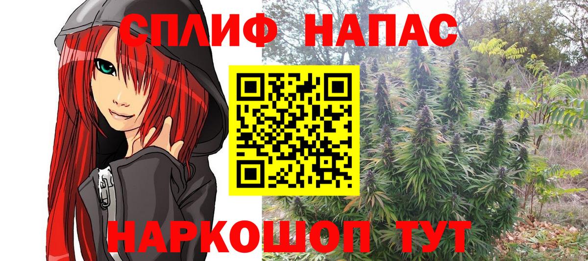 Моздок  Конопля OG Kush  Конопля Amnesia  Вход с VPN  Бошки Шишки VHQ 